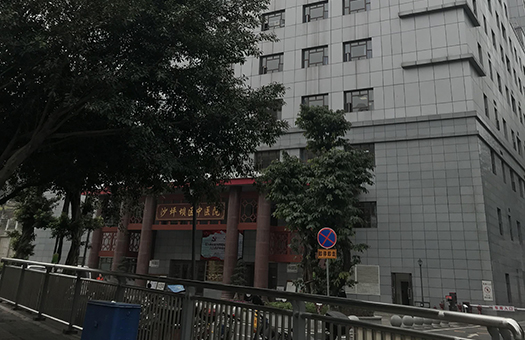 预览图